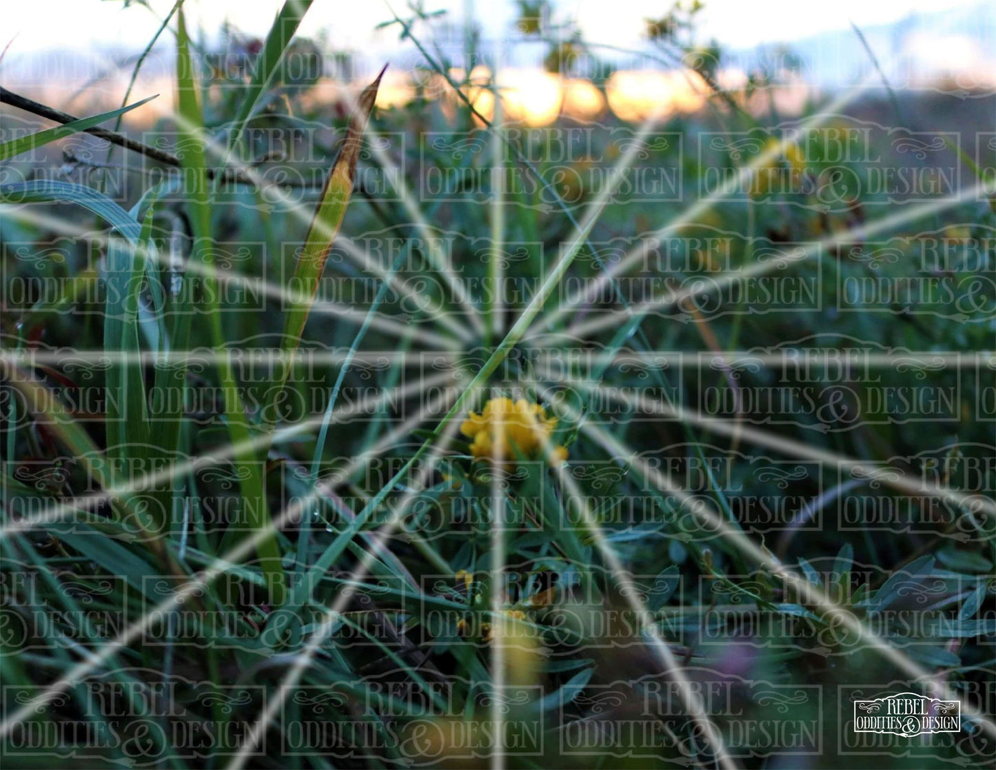 In The Weeds