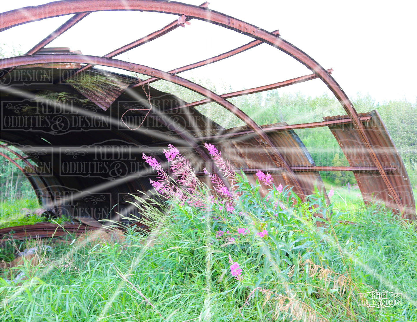 Quonset hut