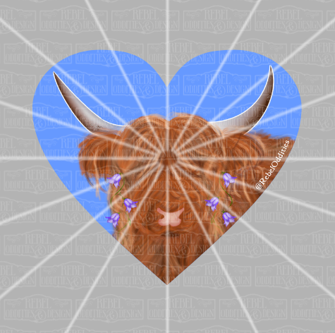 Highland Cow