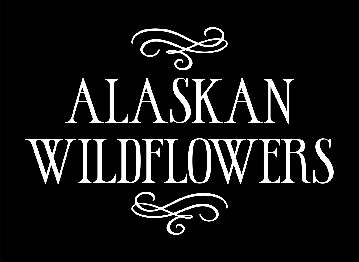 Alaskan Wildflowers