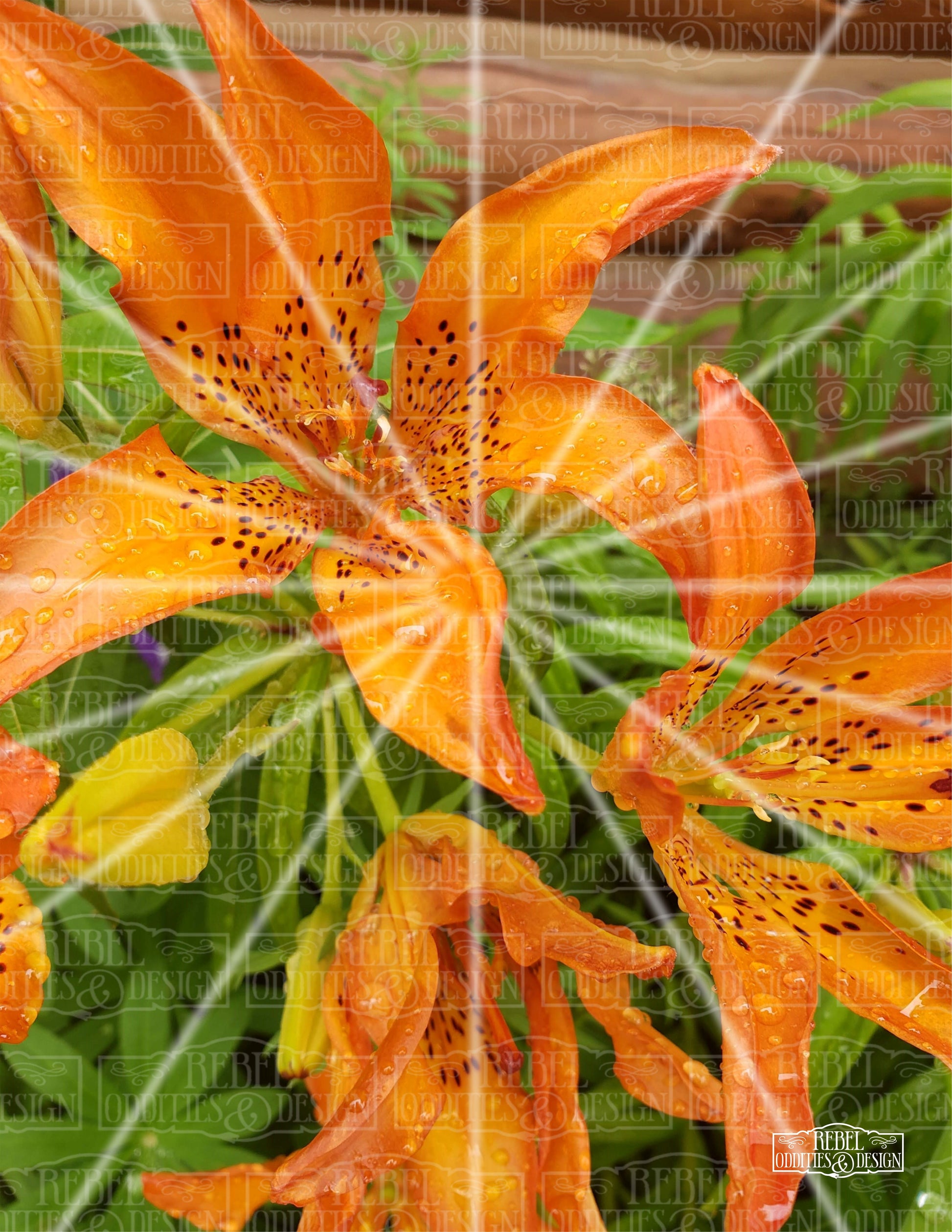 tiger lily designs Tiger Lily – Rebel Oddities & Design